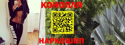 круглые Кингисепп