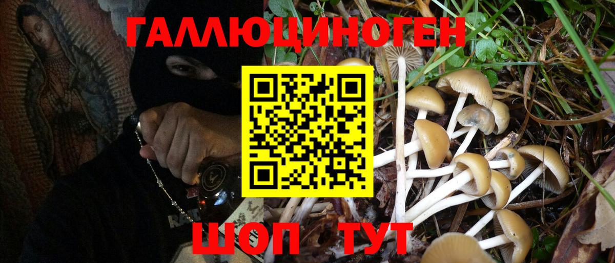 Галлюциногенные грибы Psilocybe Котельники